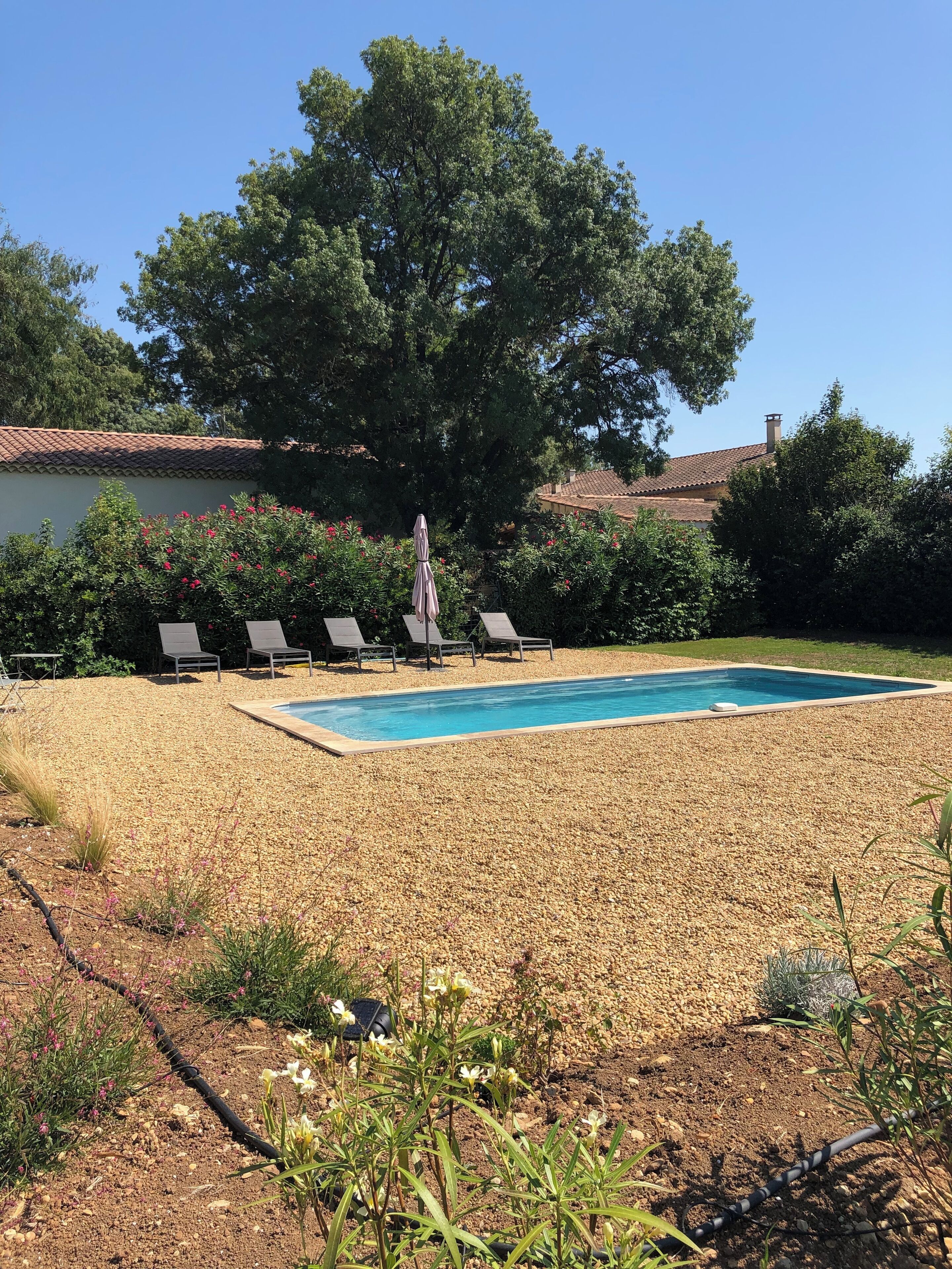 A rectangular swimming pool with a tiled deck, surrounded by a gravel area. There are four lounge chairs and a single umbrella. A large tree is visible in the background, and the sky is clear.