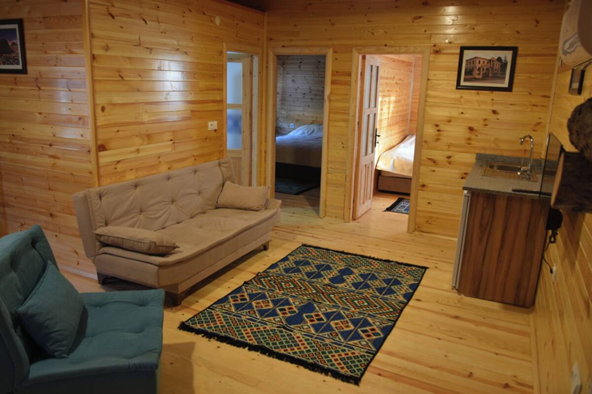 A cozy cabin interior with a sofa, a patterned rug, a bed, and a small kitchenette.