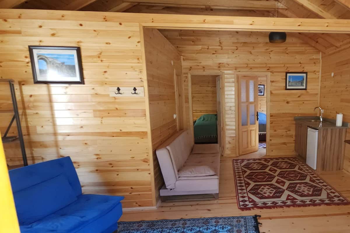 A wooden cabin interior with a sofa, a patterned rug, a fireplace, and a television.