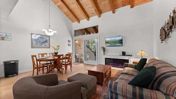 TV, fireplace, books