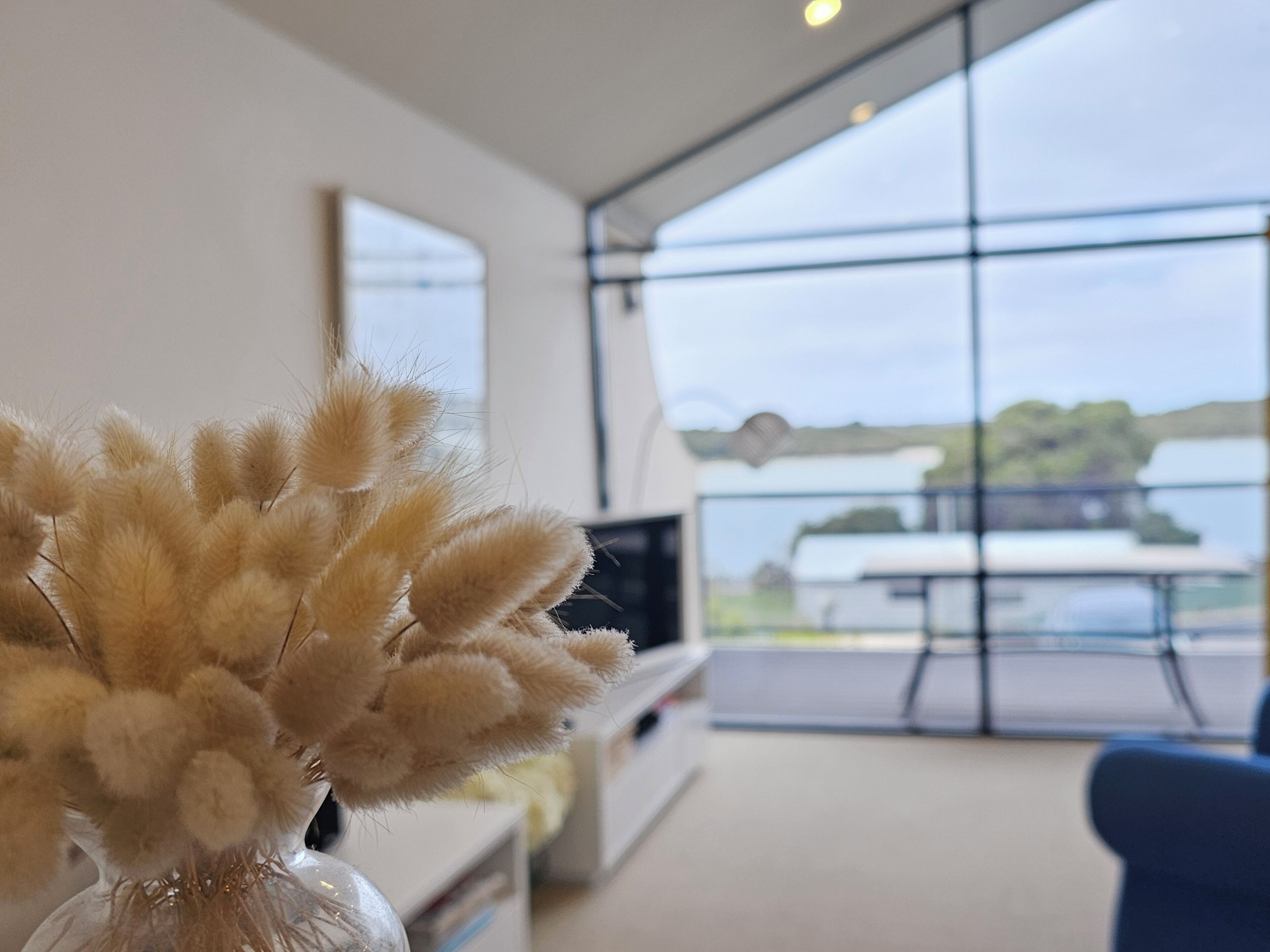 A modern living room with a large window, a vase with dried pampas grass, and a blue chair.