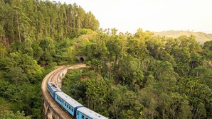 A blue train traveling on a bridge through a dense forest. - 90 Degrees Ella (Ella)