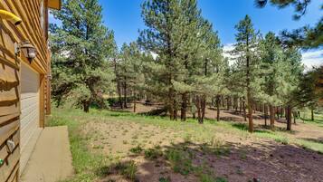 Departamento (1 Bedroom) | Interior