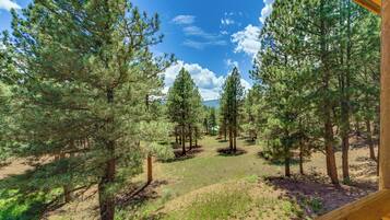 Departamento (1 Bedroom) | Interior