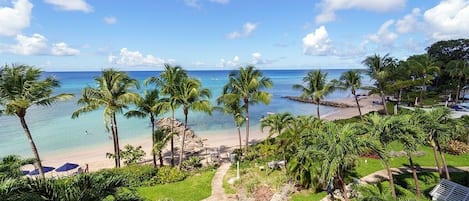 A tropical beach resort with palm trees, a clear blue sky, and a pathway leading to the beach.