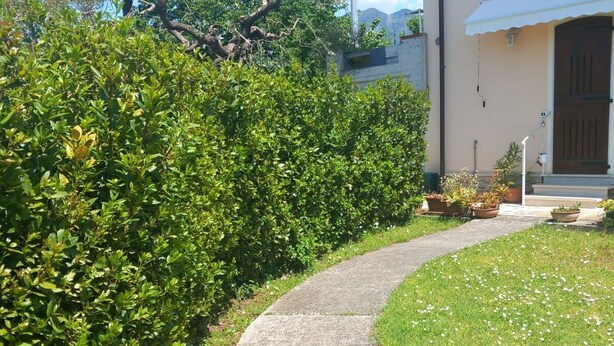 A curved concrete pathway leading to a building with a white facade and a brown door.
