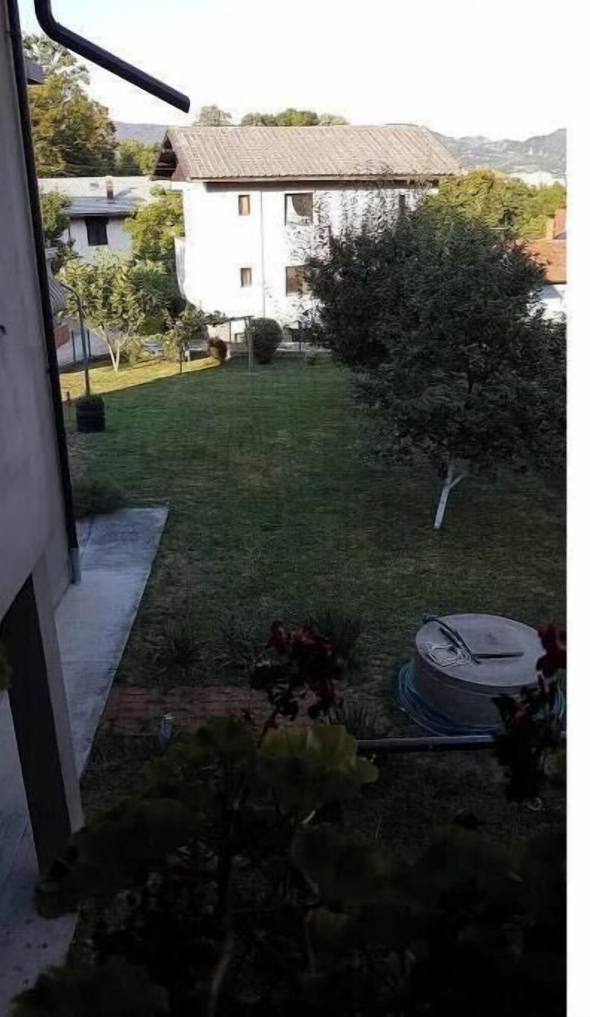 Image de profil de lâhĂŽte