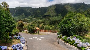 Une route asphaltée, agrémentée d’un symbole de vélo, bordée d’une végétation luxuriante et avec des montagnes en arrière-plan.