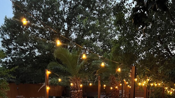 Ein Garten mit Pool, Palmen und Lichterketten.