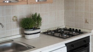 A kitchen with a gas stove, a sink, and a potted plant on the countertop.
