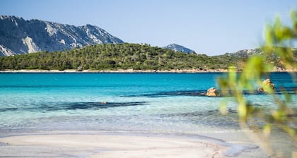Villa Olive - pool retreat near Lu Impostu Beach