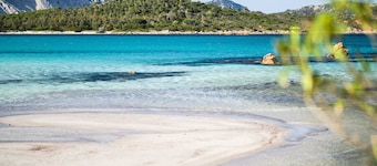 Villa Olive - pool retreat near Lu Impostu Beach