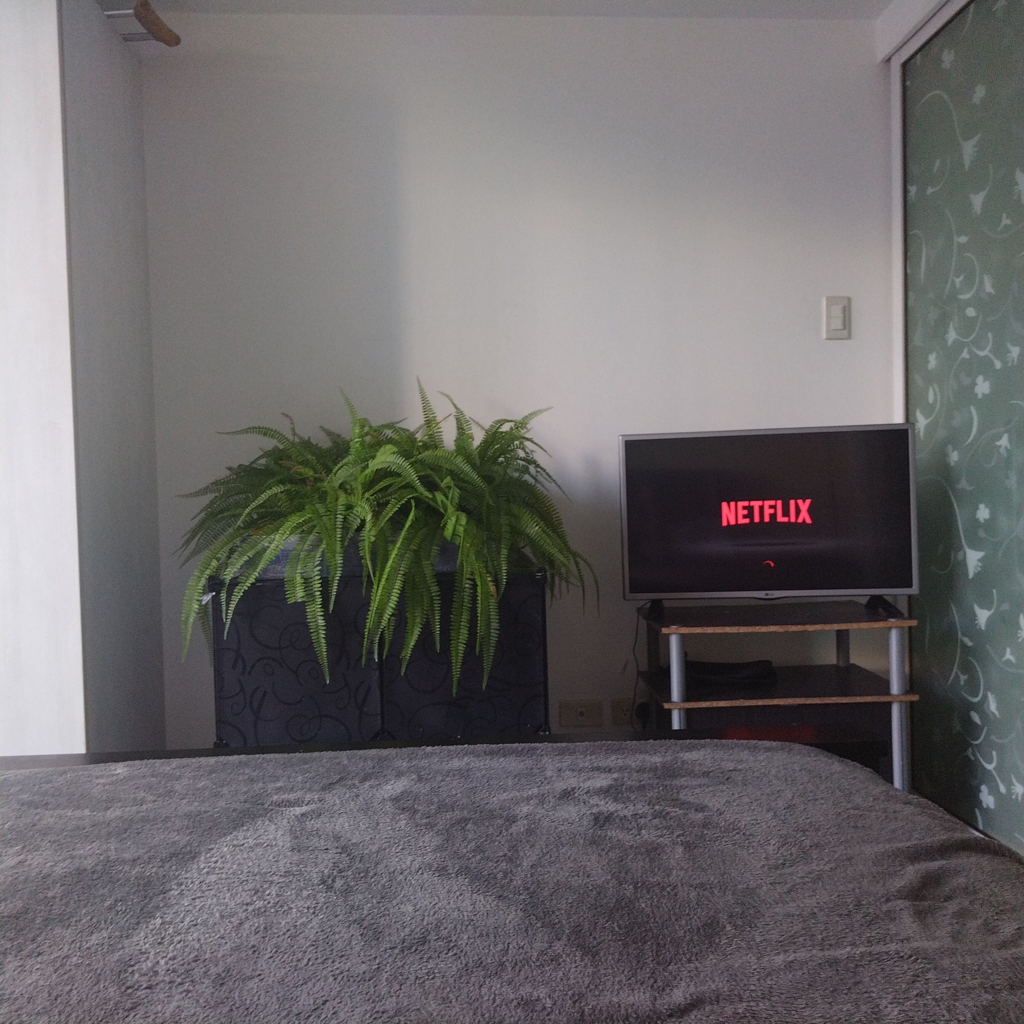 Une pièce avec un lit, une plante en pot et un téléviseur affichant le logo « NETFLIX ».
