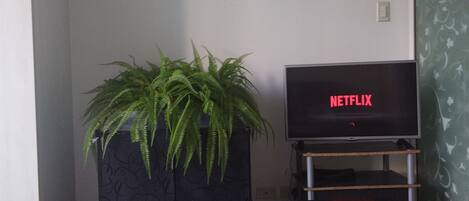 Une pièce avec un lit, une plante en pot et un téléviseur affichant le logo « NETFLIX ».