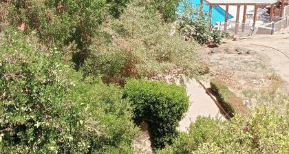 Beach-Pool-Garden