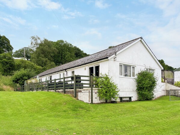 Unclassified image, 1 of 19, button