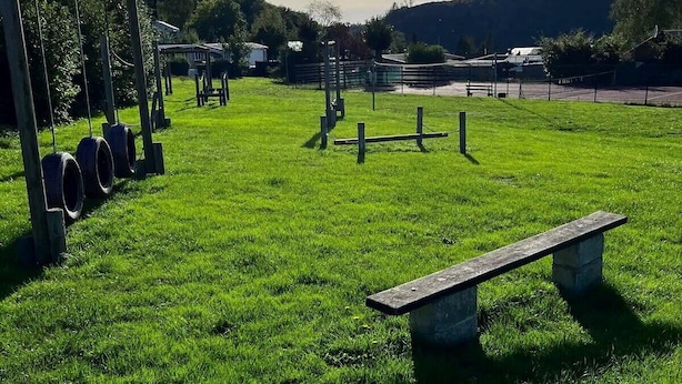Un champ herbeux avec un banc en bois, des balançoires faites de pneus et une clôture en bois.