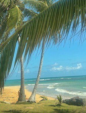 Beach - Beautiful Beach and El Yunque views! Perfect located, newly updated condo!  (Luquillo)