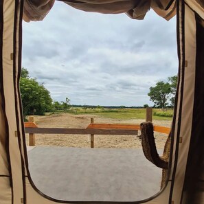 A tent with a view of an open field and trees. - Luxuszelt in der Pferdeherde in Perfekten Westernambiente in Maximaler Natur (Falkenberg)