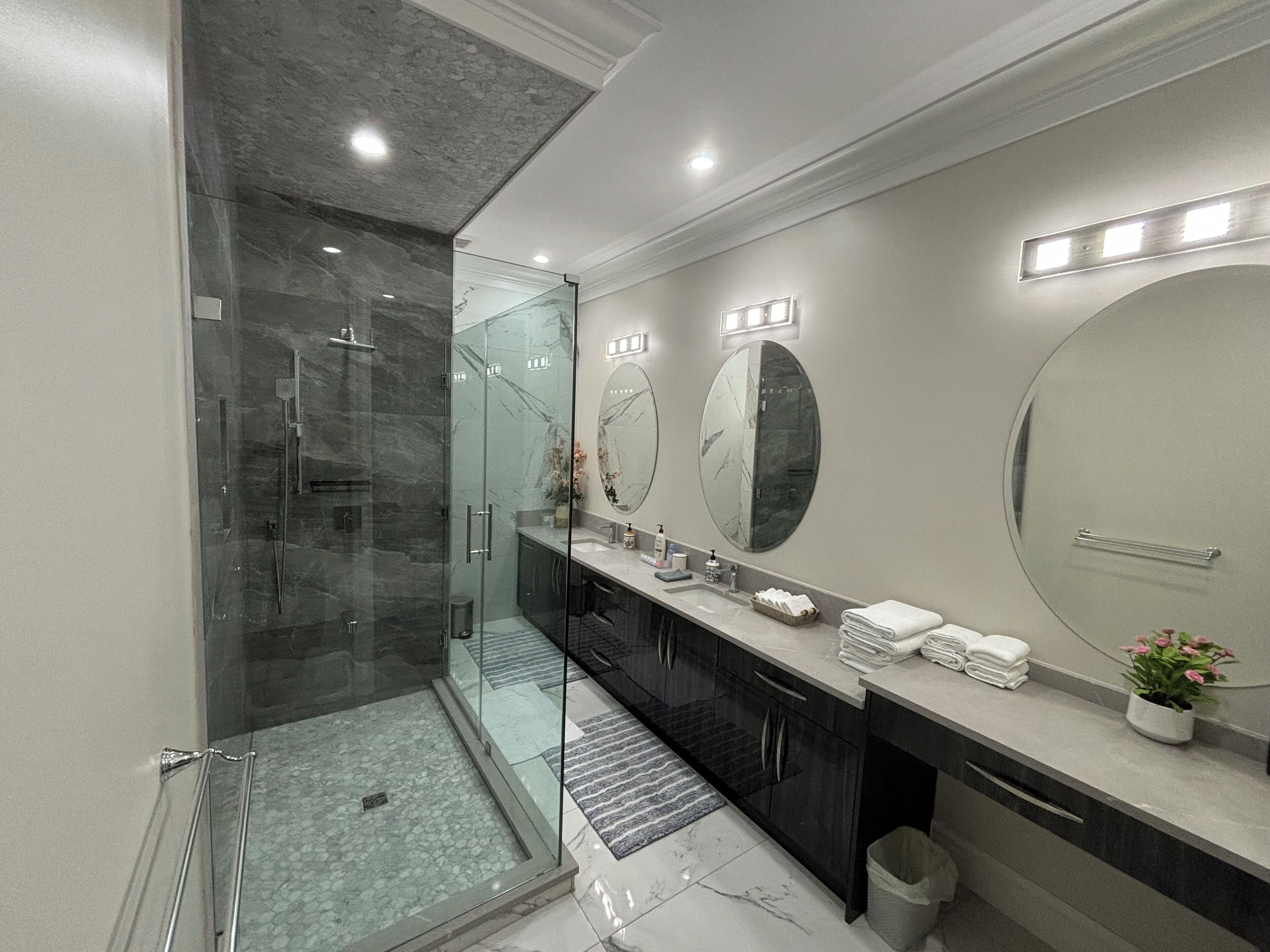 Shower, hair dryer, bidet, towels