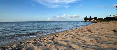 Tumbonas y toallas de playa