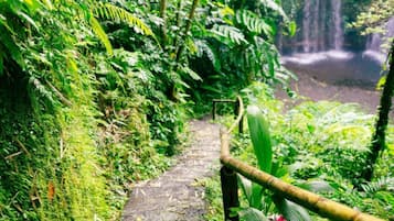 Kabin | Halaman properti