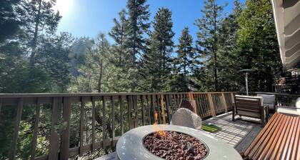 Cozy 4-bedroom lakefront house in nestled in the trees in Lake Arrowhead!