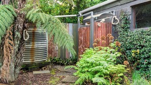 Ein Garten mit einem großen Baum, einem Metallwassertank und verschiedenen Pflanzen.