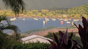 Un puerto deportivo con barcos, rodeado de abundante vegetación y colinas.