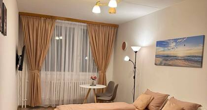 Charming Apart Near Center