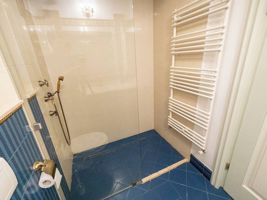 A bathroom with a shower, toilet, and towel rack.