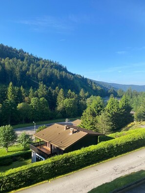 A house with a sloped roof, surrounded by a well-maintained hedge and a road. - Location Appartement Pied Pistes La Bresse Vosges (La Bresse)