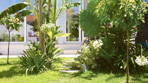 A lush garden with various tropical plants and a pathway leading to a building. - Vila Vale Guest House surf e yoga (Almada)