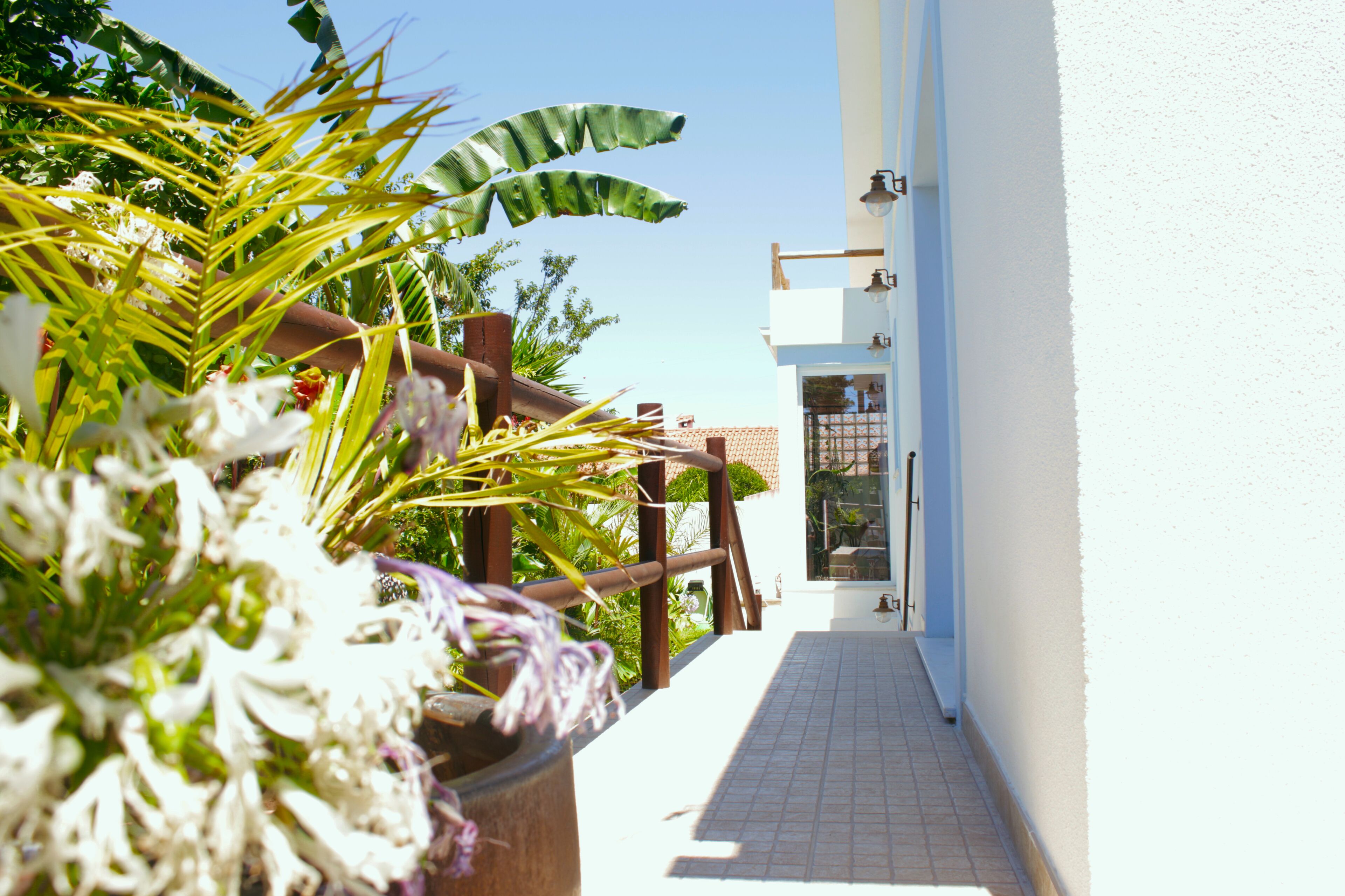 A narrow pathway leading to a building with a white exterior and a tiled floor.