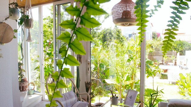 A sunlit room with a wicker chair, a small table, and a potted plant. - Vila Vale Guest House surf e yoga (Almada)