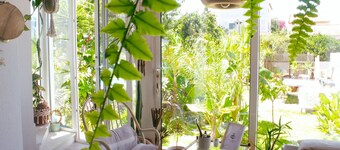 Vila Vale Guest House surf e yoga