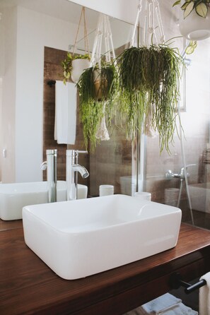 Ducha, secador de pelo, toallas, papel higiénico