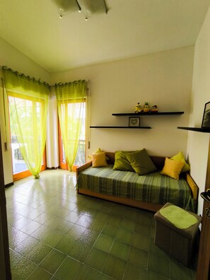 Smart TV, books, video library