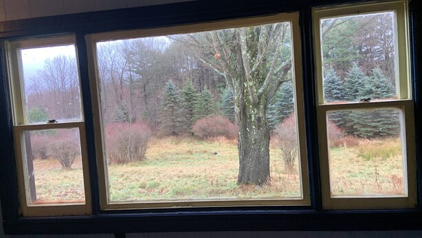 A room with a large window overlooking a forested area.