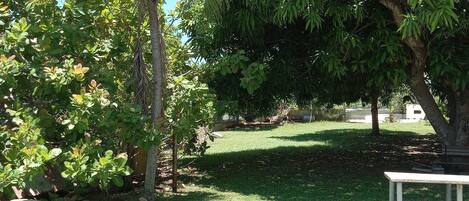 Overnatningsstedets område