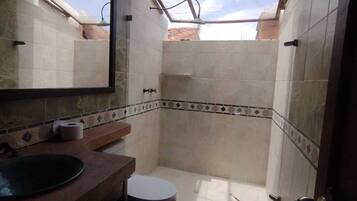 Shower, towels, toilet paper