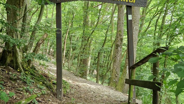 A wooden signpost with yellow lettering reading "Zum Hinterochtel" in a forested area with a stone staircase leading up. - Gemütliche Ferienwohnung bei Bernkastel-kues, Ideal zum Wandern und Radfahren (Veldenz)