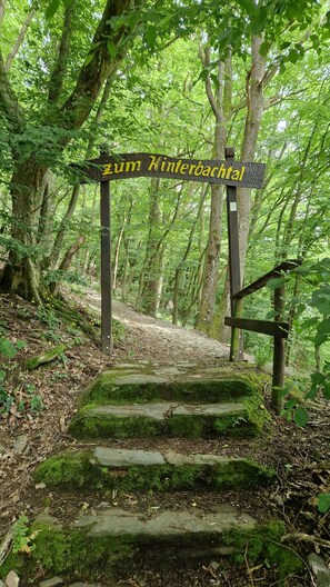 Un cartel de madera con letras amarillas que indica "Zum Hinterochtel" en una zona boscosa con una escalera de piedra que asciende.