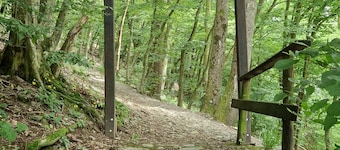 Gemütliche Ferienwohnung bei Bernkastel-kues, Ideal zum Wandern und Radfahren