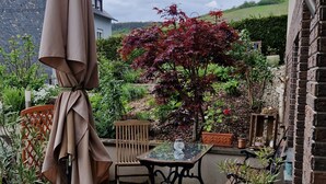 A patio with a table, chairs, a grill, and potted plants. - Gemütliche Ferienwohnung bei Bernkastel-kues, Ideal zum Wandern und Radfahren (Veldenz)