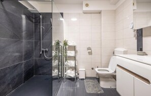 Shower, hair dryer