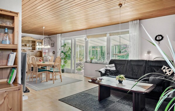 TV connectée, cheminée