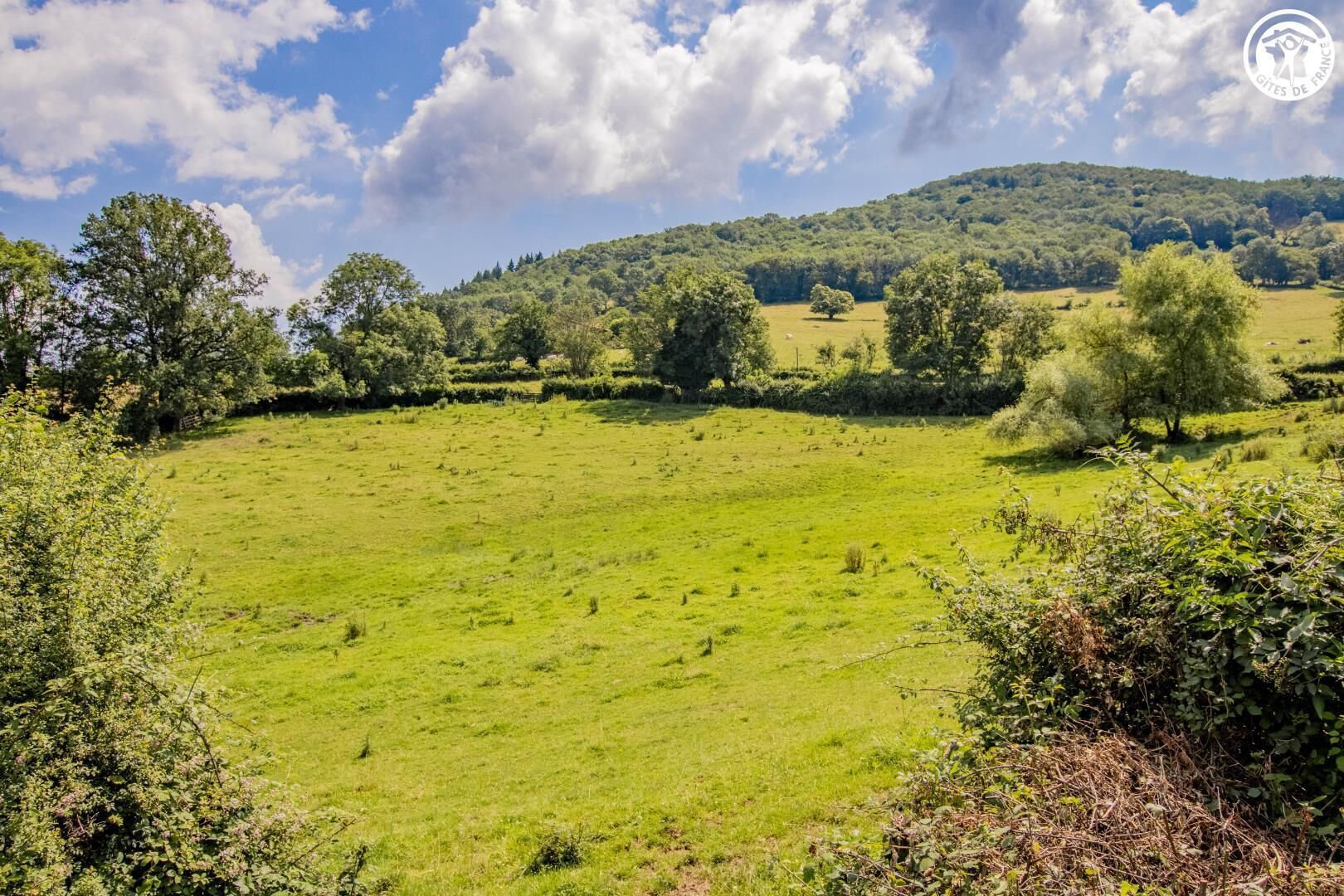 Paesaggio rurale con un campo verde, alberi e una collina sullo sfondo.