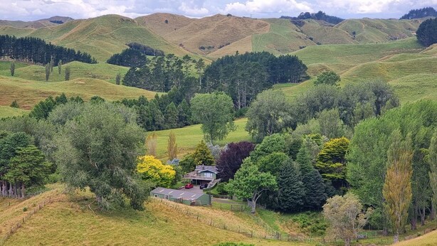 A rural landscape with rolling hills, a small house surrounded by trees, and a clear sky. - Relax at Stagga Arcadia, tranquil 1 bedroom suite on rural farmlet with spa (Huiroa)