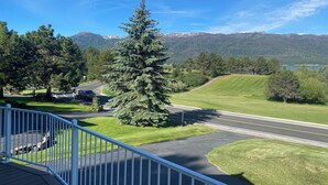 A residential area with a road, a large evergreen tree, and a view of distant mountains. - Quaint, Rustic Charm Lake house with WiFi in Cascade. (Cascade)
